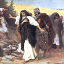 바르실래 이미지