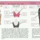 브리스건강기능성속옷 이미지