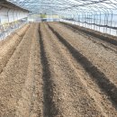 영희농장2 이미지