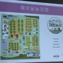 대원로 이미지