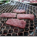 통큰한우 Daum카페