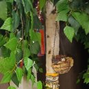 신박사네 이미지