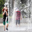 들샘어린이공원 이미지