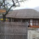 대추나무민박 이미지