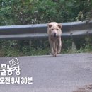 봉희농장 이미지