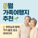 고려홍삼천국 | 5월 가족여행지 추천: 부모님과 함께 가기 좋은 국내 명소 TOP 5