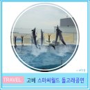 씨월드 관광호텔 | 고베 관광 추천 여행 코스 스마 씨월드 돌고래 쇼 후기