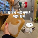 주머니 | 강아지 이동가방용 핫팩, 휴고프로쉬 보온 물주머니 후기