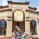 Sight and sound,2026 이미지