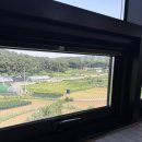 평화보리밥 | 화성 봉담 맛집 추천 보리밥상 보리밥정식 내돈내산 후기