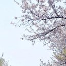 삼회리 강변 자전거길 이미지