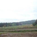 포항시북구69 이미지