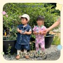 원삼농장 | 용인블루베리체험 가능한 실내가볼만한곳, 포레스트벨 동물체험 후기 준비물