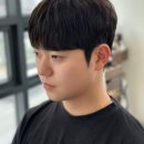 새로봄헤어