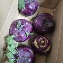 서이테크 | 앱테크 캐시워크로 받은 포인트로 구매후기