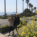 법환마을회관 이미지