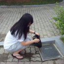 이리마한초등학교 이미지