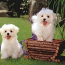 순리대로 이미지