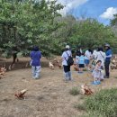 울안농장 이미지