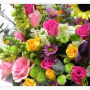 지오메디 이미지