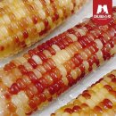 바스켓 - 부산진구 백양순환로28번길 39 | 바스켓