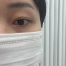 아레볼뷰티 이미지