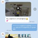 두두핏 이미지