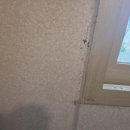 코오롱인테리어 | 🏢진주 코오롱하늘채 탄성코트 시공 후기｜인테리어 마감