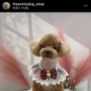 더 이쁘개 이미지