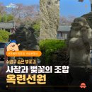 옥련유치원 | 부산 숨은 벚꽃 명소 수영구 민락동 옥련선원