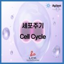 (주)엘씨케이테크놀로지스 마곡지점 | [기초다지기] 세포주기 Cell Cycle 이란?