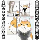 元野良猫チャチャとR me2 이미지