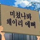 베이프 ABC 카모 크리스탈 스톤 샤크 풀 후드집업 리뷰 / 후기