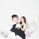 댕댕잡화점 이미지