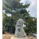 청계산 산행 2026.4.18.토. 오전11시/미미야 이미지
