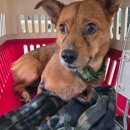 내서읍541 이미지