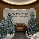 김동선 | 호캉스 | 북한산 숲세권 호텔 안토(Anto) 팀버주니어 1박 객실 및 체크인 후기