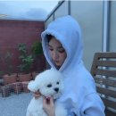 수수메디 이미지