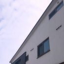 새서귀포 초등학교 옆 깨끗한 원룸 입니다 이미지