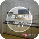 다니블리