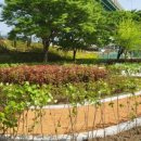 꽃내음가득 이미지