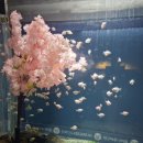 선류산장 이미지