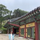 양순네 | 금강산 화암사 템플스테이 후기