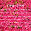 한솥밥 Daum카페
