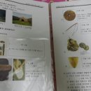별망초등학교 이미지