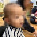 풀잎농장 이미지