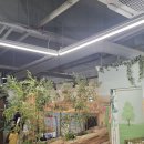 벅스 - 화성시 역골로 9-13 | 인천실내동물원 쥬벅스 방문 후기