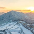 호텔 펠리체 이미지