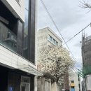 에스와이 | 합정 속눈썹펌 | 프리미엄 클리닉펌 리얼후기, 에스와이스튜디오