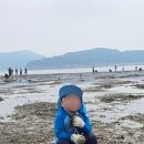 선재마을 | 선재도 아이와 갯벌체험｜긁으면 바지락 나오는 선재어촌체험마을 주차부터 준비물까지 직접 다녀온 후기